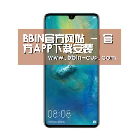 华为无线快充手机
