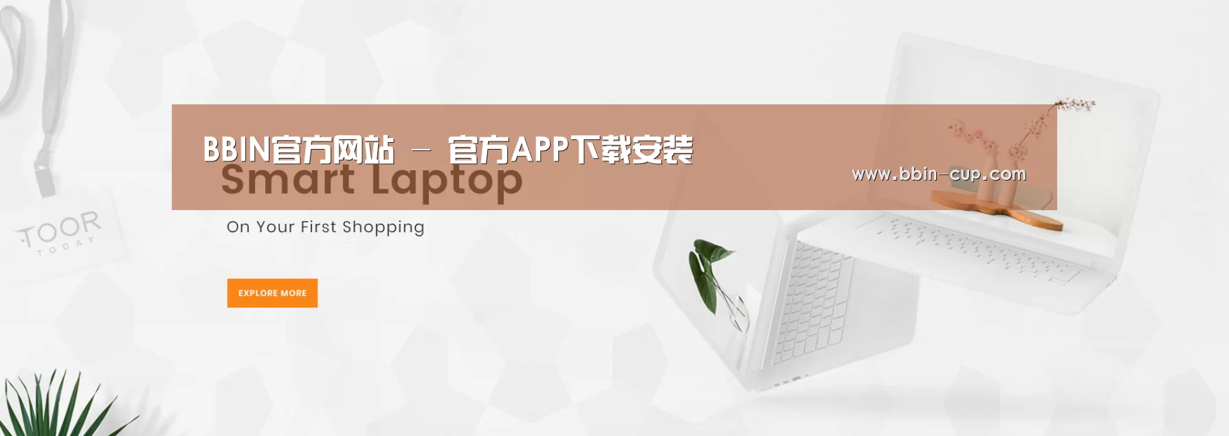 某某网络科技有限公司