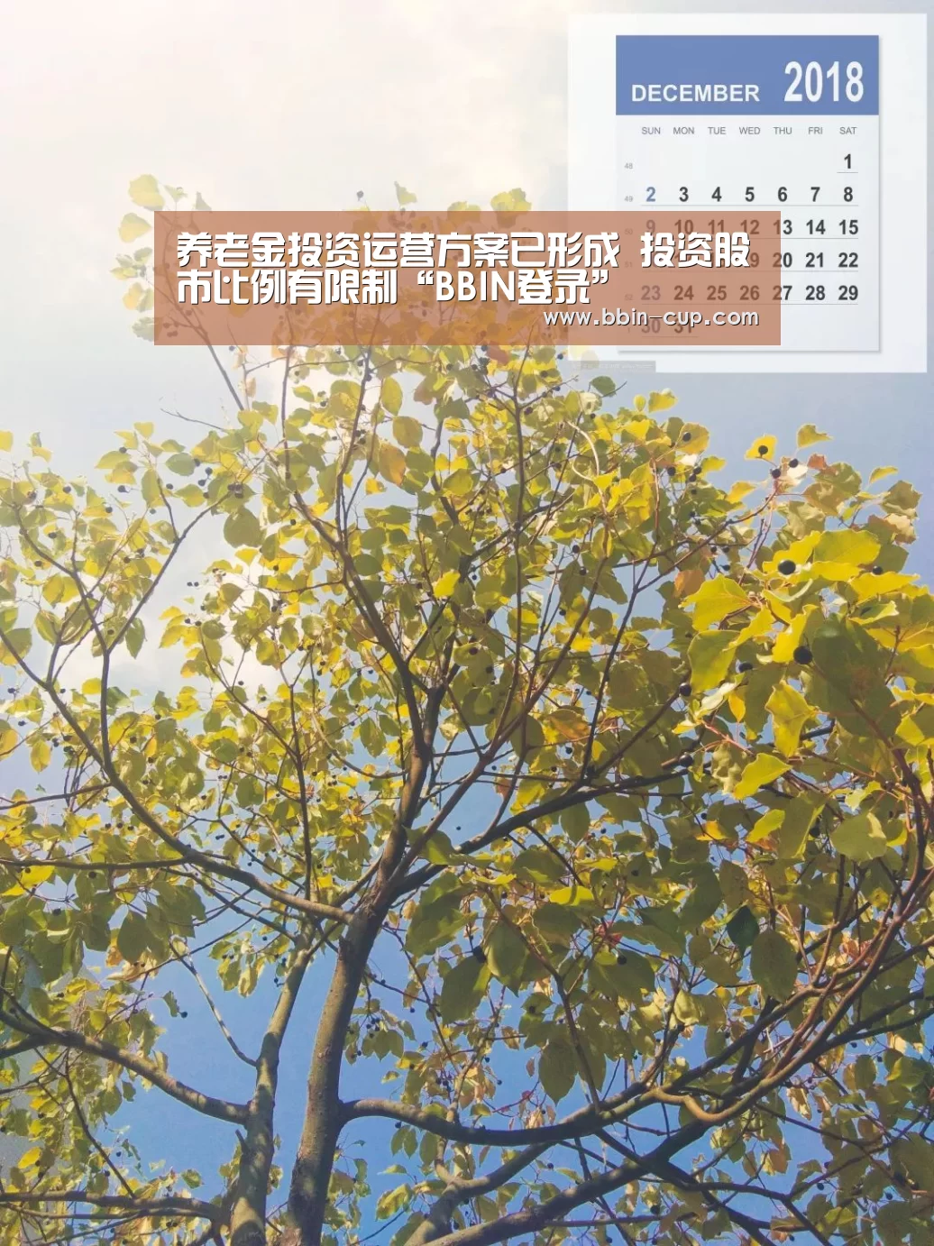 养老金投资运营方案已形成 投资股市比例有限制“BBIN登录”(图1) BBIN入口
