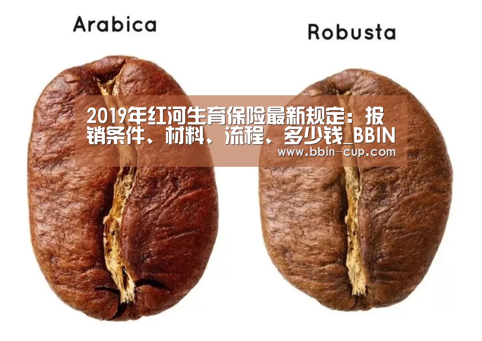 2019年红河生育保险最新规定:报销条件、材料、流程、多少钱_BBIN入口(图2) BBIN官网