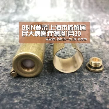 BBIN登录|上海市城镇居民大病医疗保险1月30日启动(图1) BBIN登录