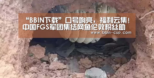 “BBIN下载”口号响亮,福利云集!中国FGS军团集结网鱼伦敦粉丝助威会(图3) BBIN登录