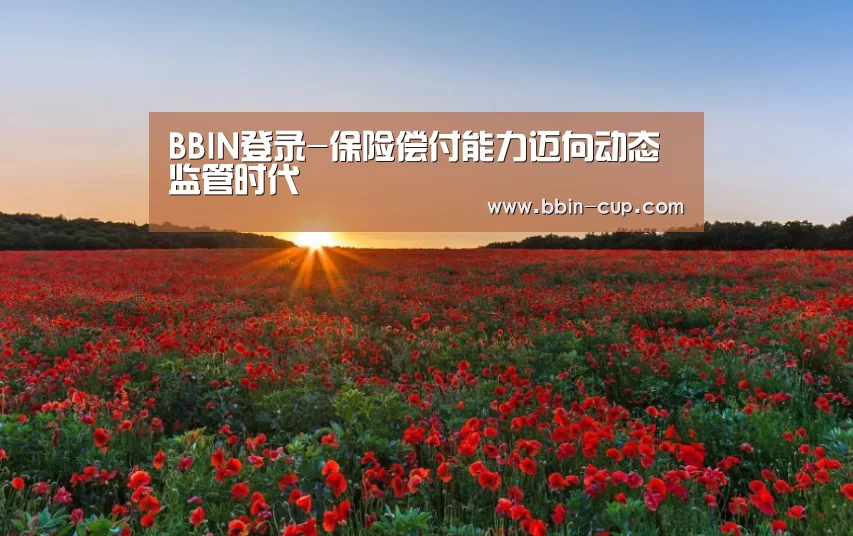 BBIN下载